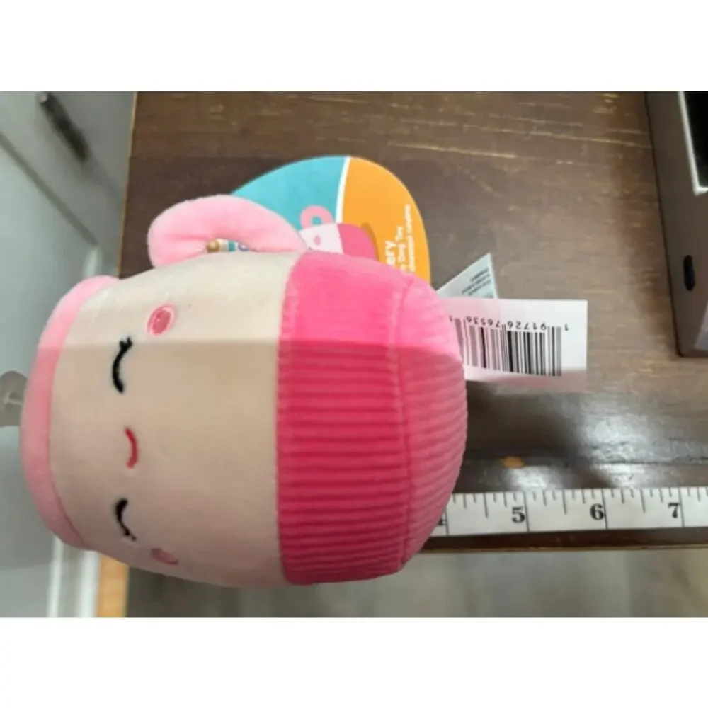 Squishmallows NWT Doy Toys Set of 2 Emily Latte Deja Donut Squeak Crinkle Plush